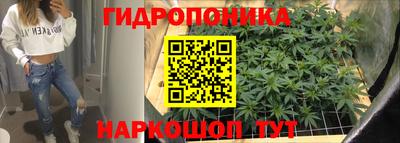 a pvp Кандалакша